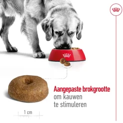 Royal Canin Maxi Ageing 8+ - Hondenvoer