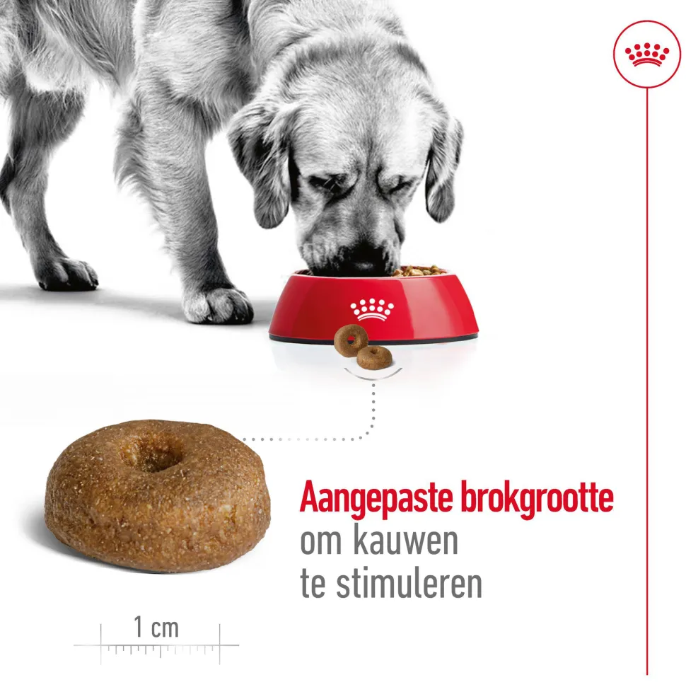 Royal Canin Maxi Ageing 8+ - Hondenvoer