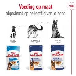 Royal Canin Maxi Ageing 5+ Wet - Hondenvoer