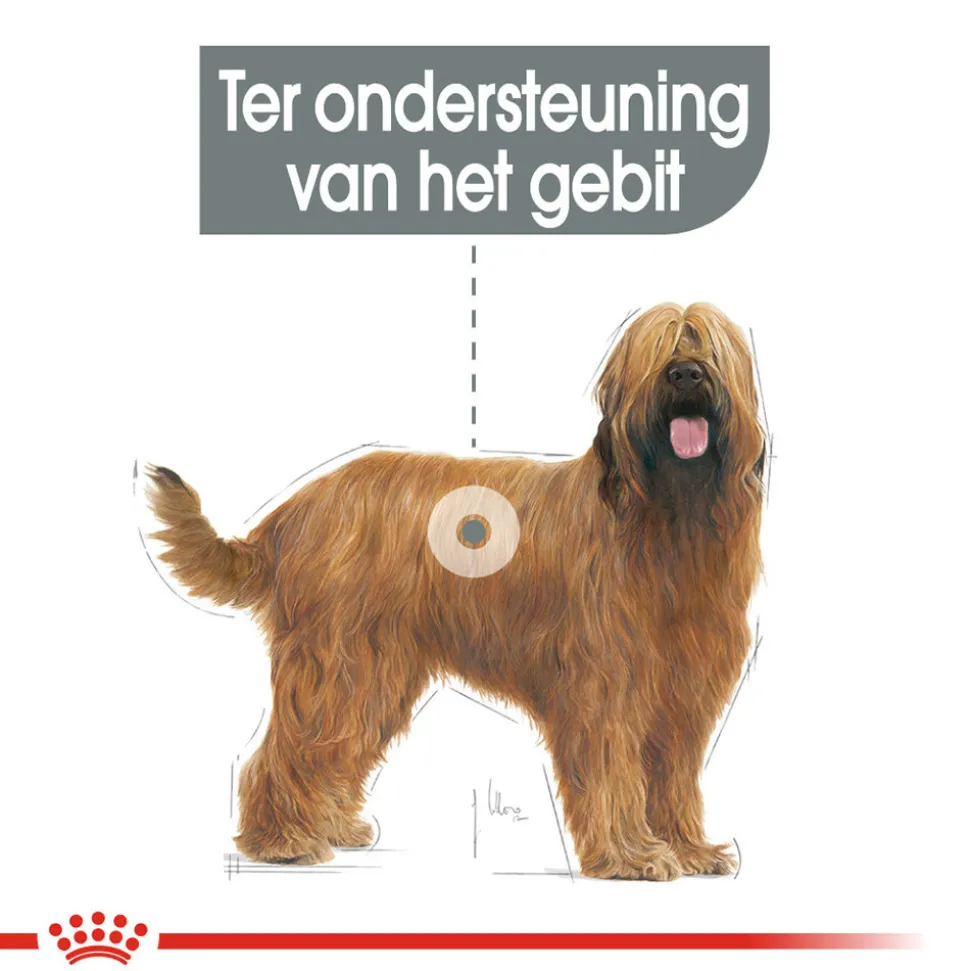 Royal Canin Maxi Dental Care - Hondenvoer