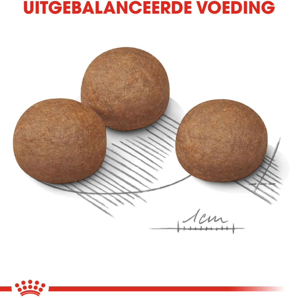 Royal Canin Maxi Digestive Care - Hondenvoer