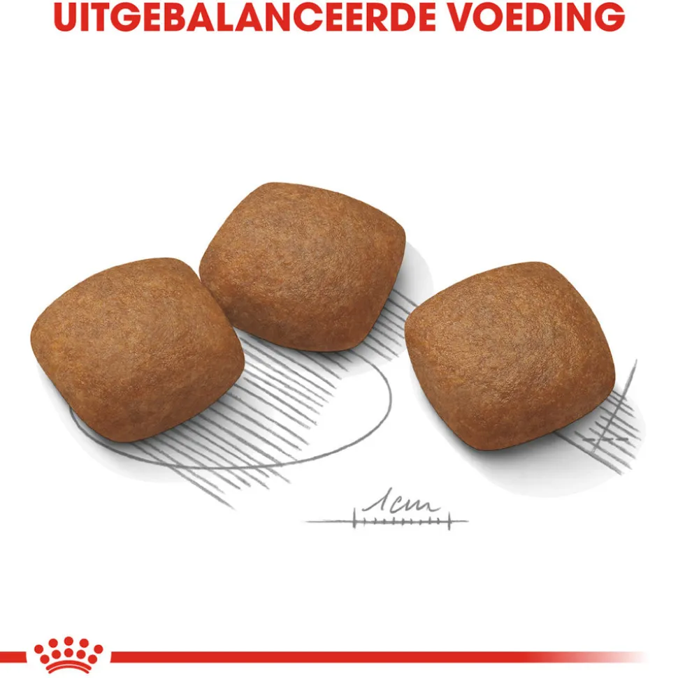 Royal Canin Maxi Joint Care - Hondenvoer