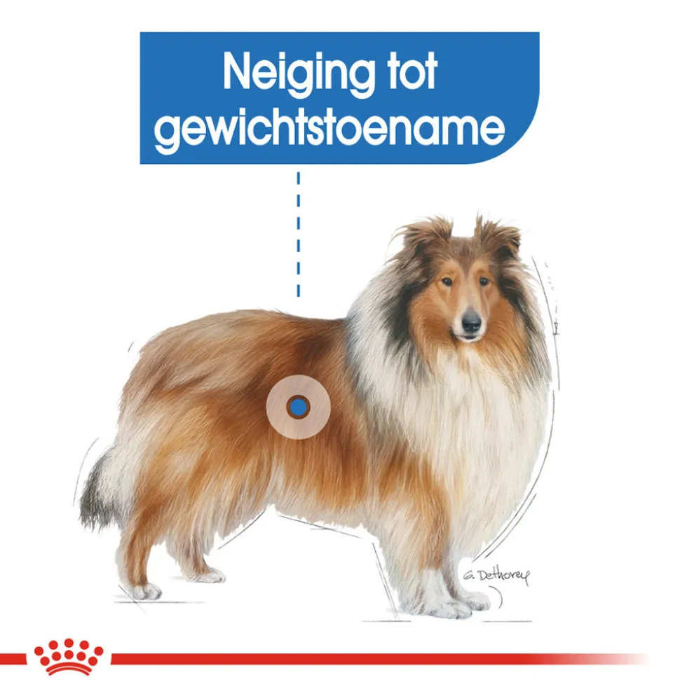 Royal Canin Maxi Light Weight Care - Hondenvoer