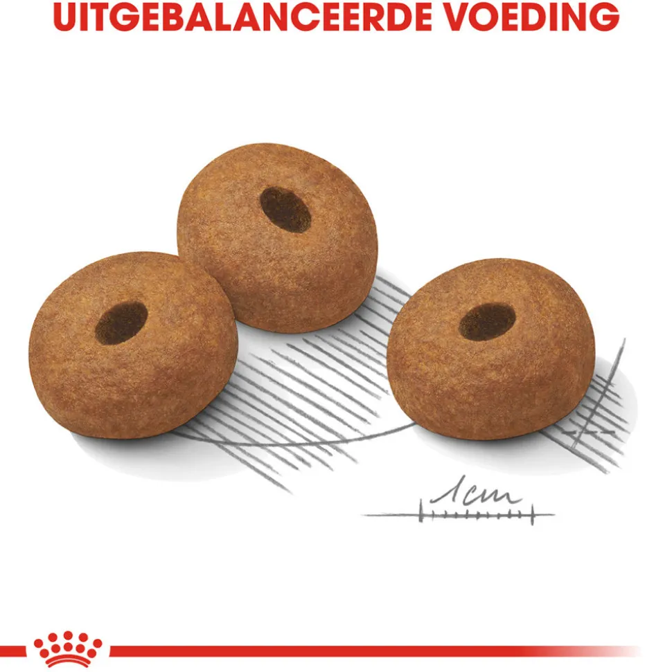 Royal Canin Maxi Light Weight Care - Hondenvoer