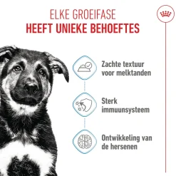 Royal Canin Maxi Puppy Wet - Hondenvoer
