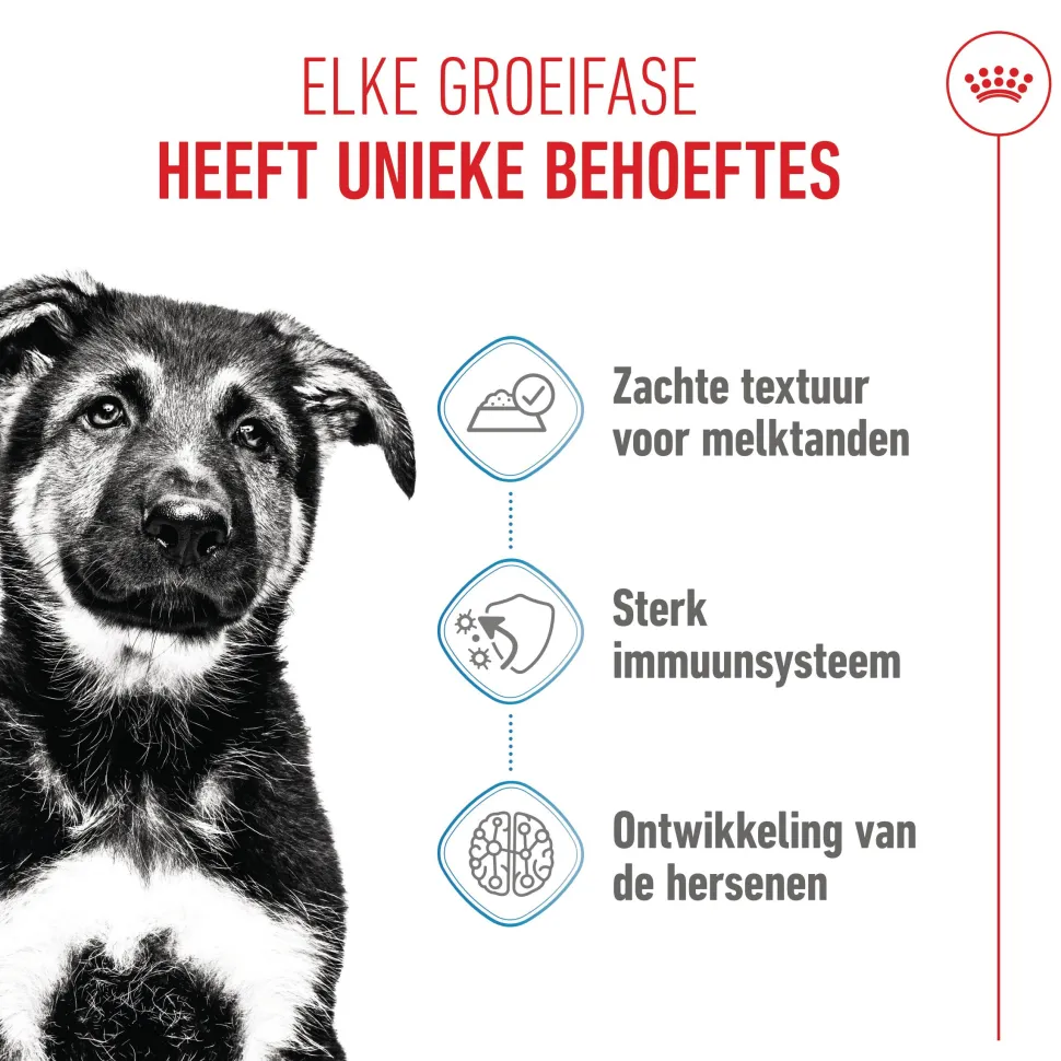 Royal Canin Maxi Puppy Wet - Hondenvoer