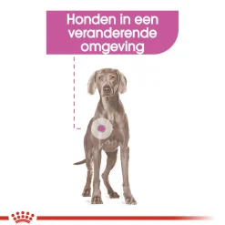 Royal Canin Maxi Relax Care - Hondenvoer