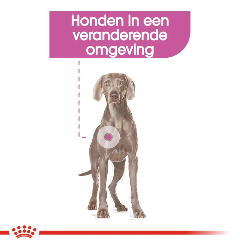 Royal Canin Maxi Relax Care - Hondenvoer