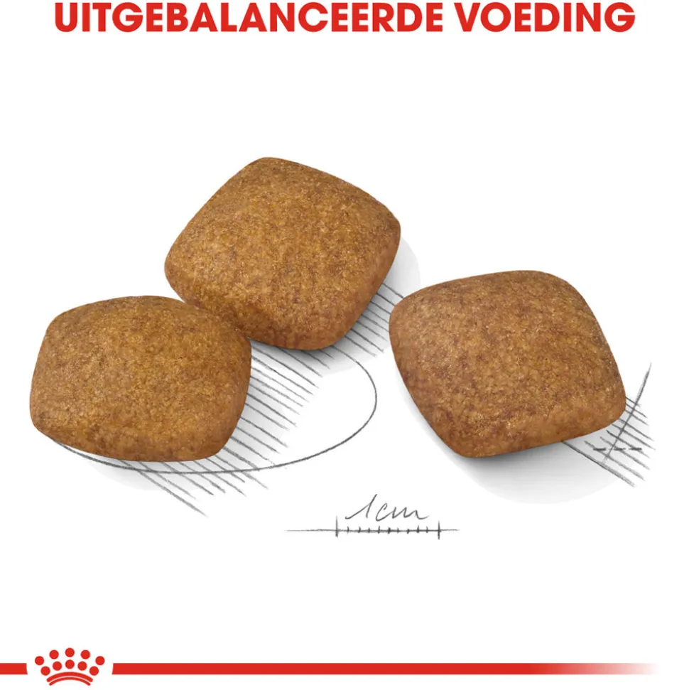Royal Canin Maxi Relax Care - Hondenvoer