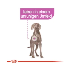 Royal Canin Maxi Relax Care - Hondenvoer