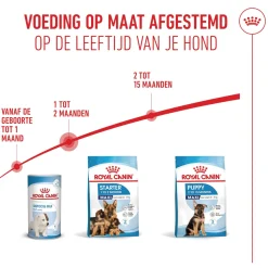 Royal Canin Maxi Starter Mother & Babydog - Hondenvoer
