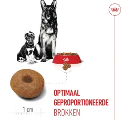 Royal Canin Maxi Starter Mother & Babydog - Hondenvoer