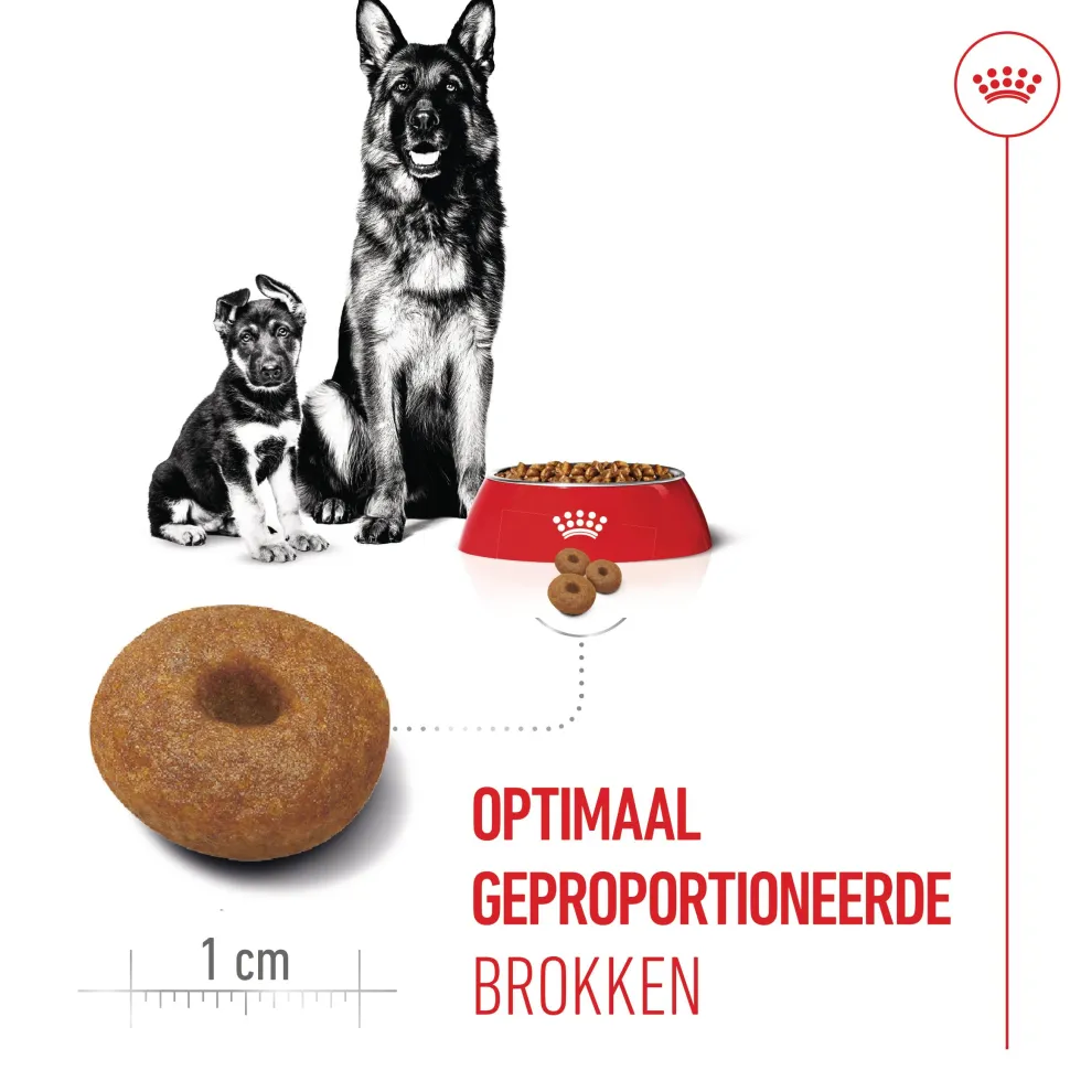 Royal Canin Maxi Starter Mother & Babydog - Hondenvoer