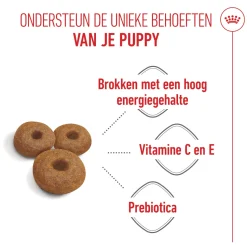 Royal Canin Maxi Starter Mother & Babydog - Hondenvoer