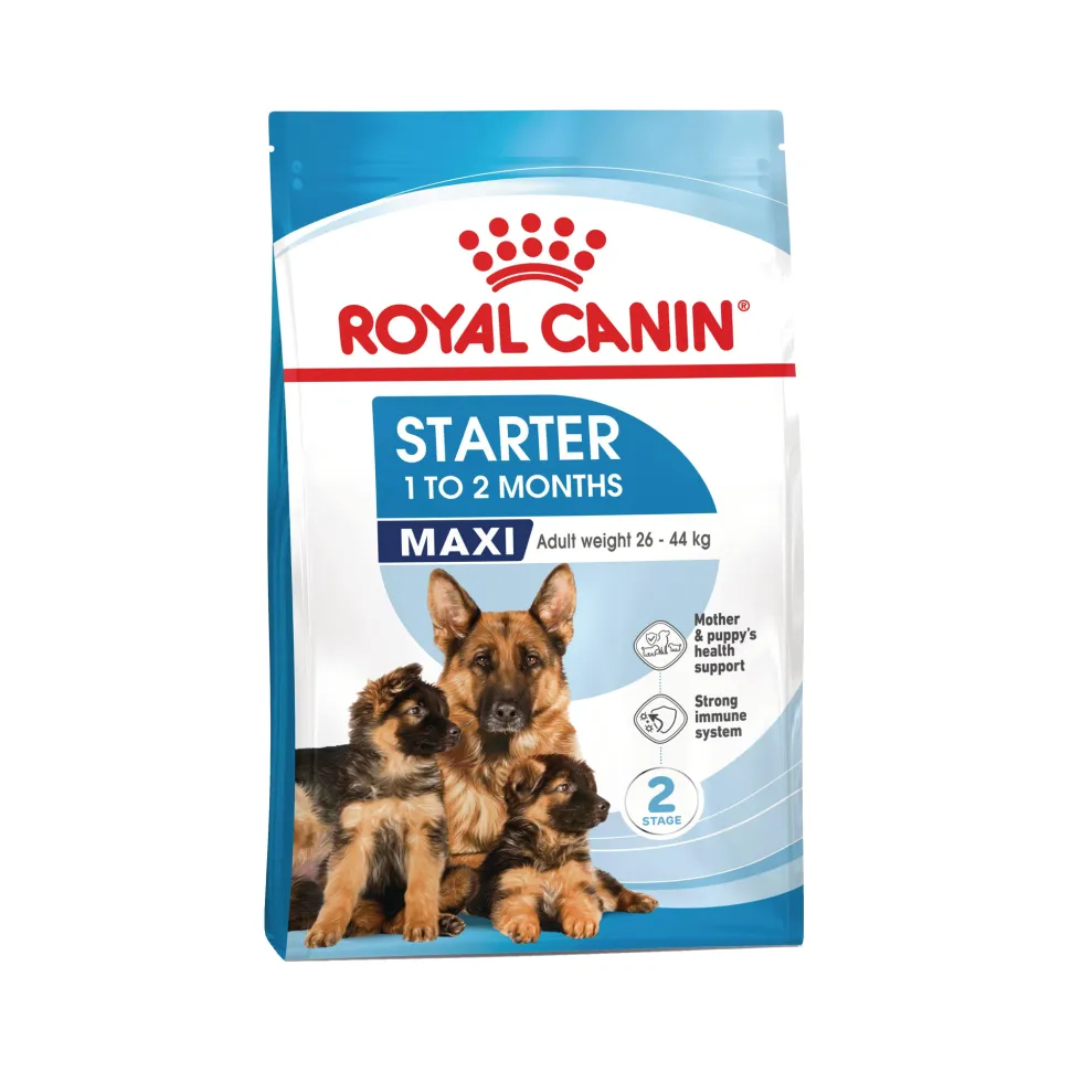 Royal Canin Maxi Starter Mother & Babydog - Hondenvoer