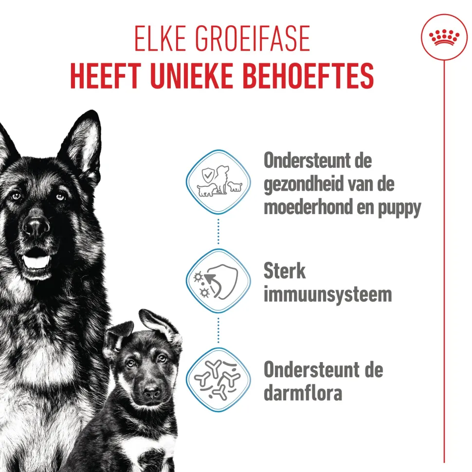 Royal Canin Maxi Starter Mother & Babydog - Hondenvoer
