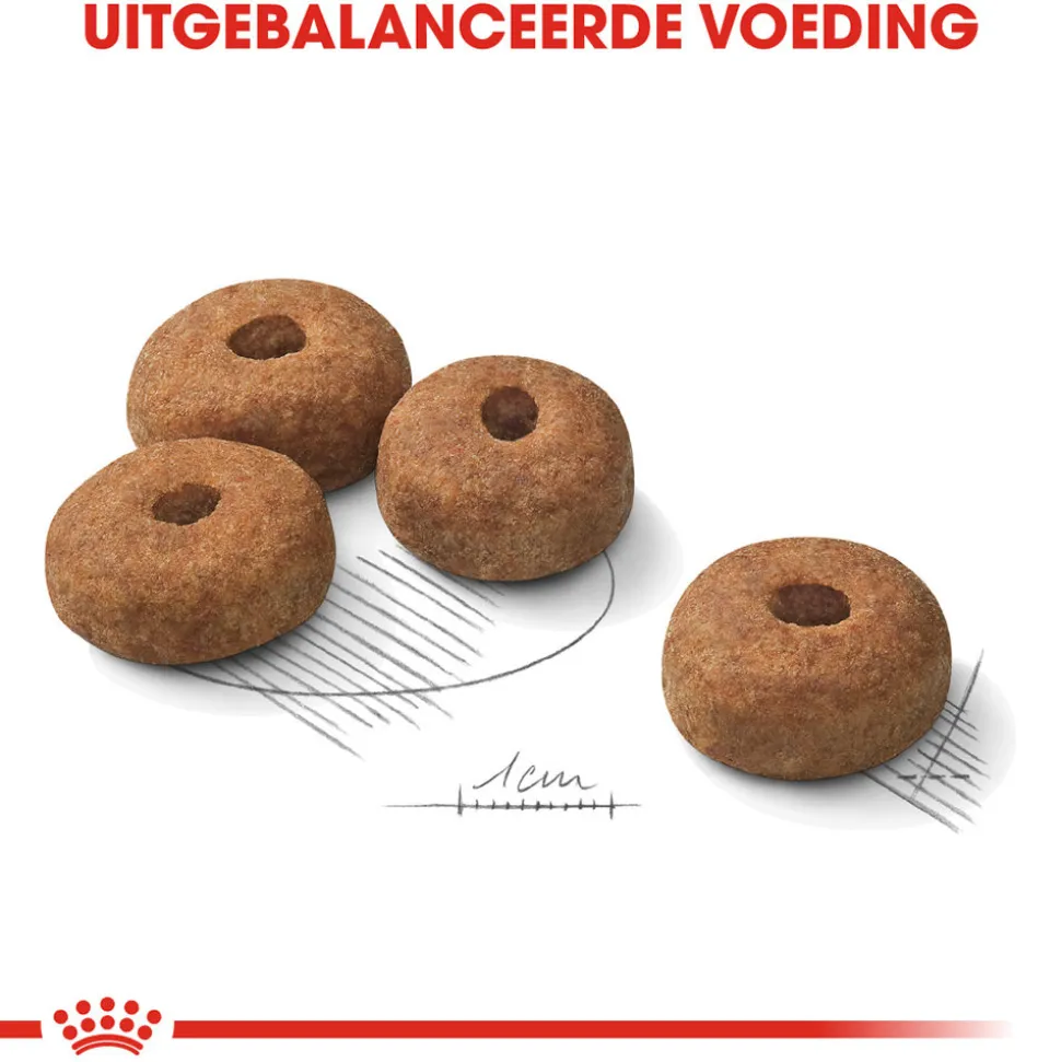 Royal Canin Maxi Sterilised - Hondenvoer