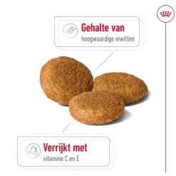 Royal Canin Medium Adult - Hondenvoer