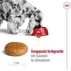 Royal Canin Medium Adult - Hondenvoer