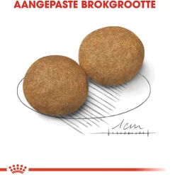 Royal Canin Medium Adult - Hondenvoer