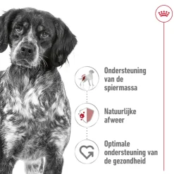 Royal Canin Medium Adult 7+ - Hondenvoer