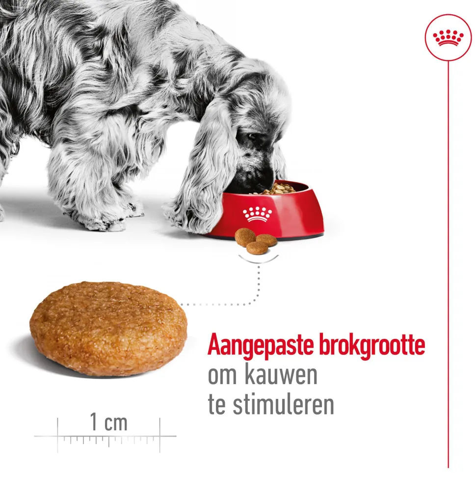 Royal Canin Medium Adult 7+ - Hondenvoer