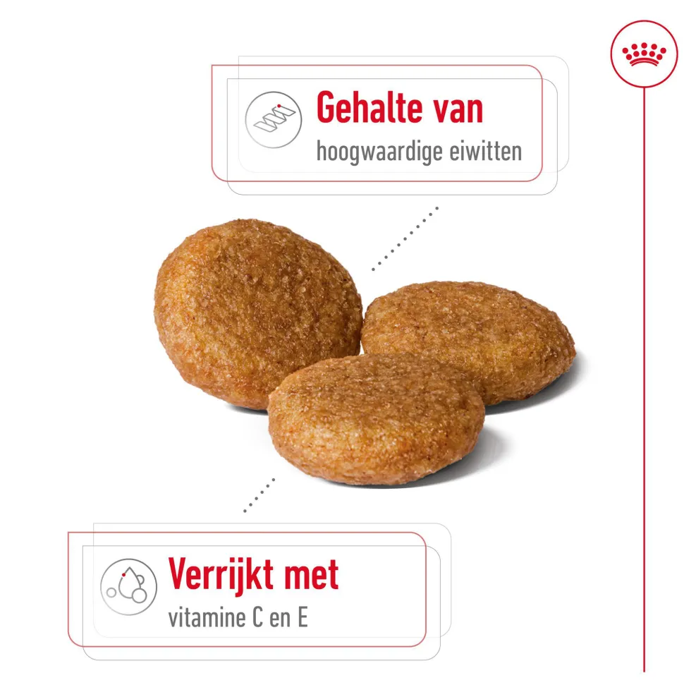 Royal Canin Medium Adult 7+ - Hondenvoer