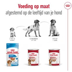 Royal Canin Medium Adult Wet - Blik - Hondenvoer
