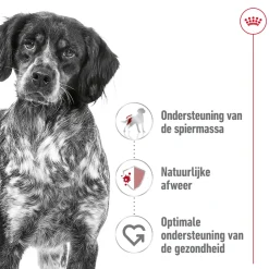 Royal Canin Medium Adult Wet - Hondenvoer