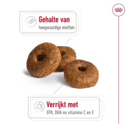 Royal Canin Medium Ageing 10+ - Hondenvoer