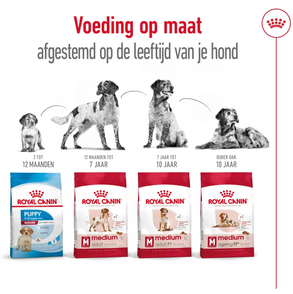 Royal Canin Medium Ageing 10+ - Hondenvoer