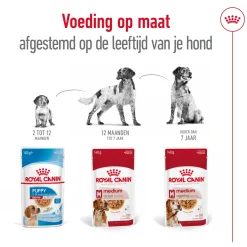 Royal Canin Medium Ageing 7+ Wet - Hondenvoer