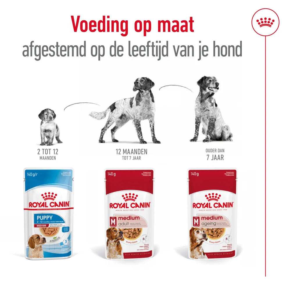 Royal Canin Medium Ageing 7+ Wet - Hondenvoer