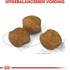 Royal Canin Medium Dental Care - Hondenvoer