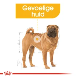 Royal Canin Medium Dermacomfort - Hondenvoer