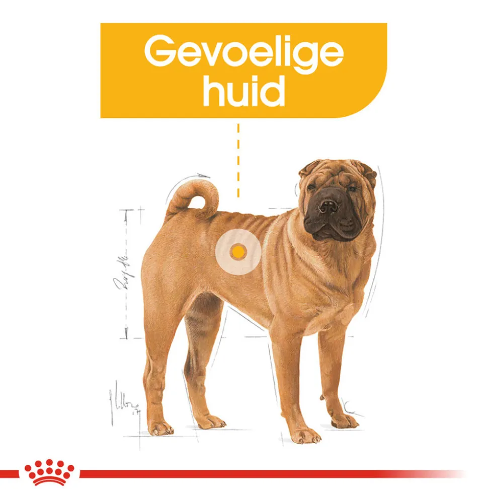 Royal Canin Medium Dermacomfort - Hondenvoer