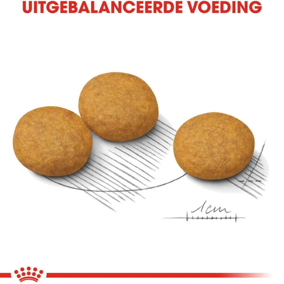 Royal Canin Medium Dermacomfort - Hondenvoer