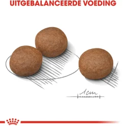 Royal Canin Medium Digestive Care - Hondenvoer
