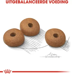 Royal Canin Medium Light Weight Care - Hondenvoer