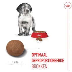 Royal Canin Medium Puppy - Hondenvoer
