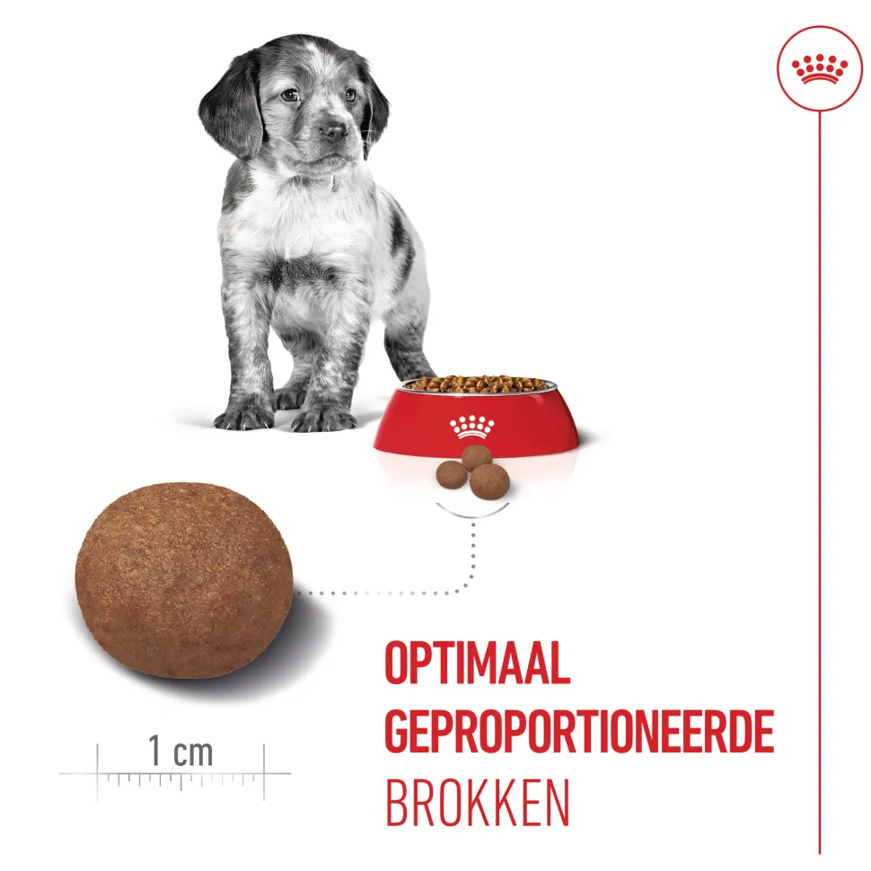 Royal Canin Medium Puppy - Hondenvoer