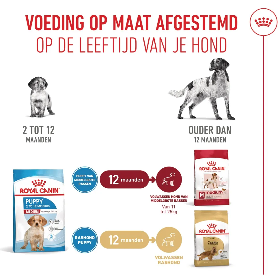 Royal Canin Medium Puppy - Hondenvoer