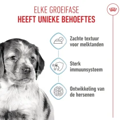 Royal Canin Medium Puppy Wet