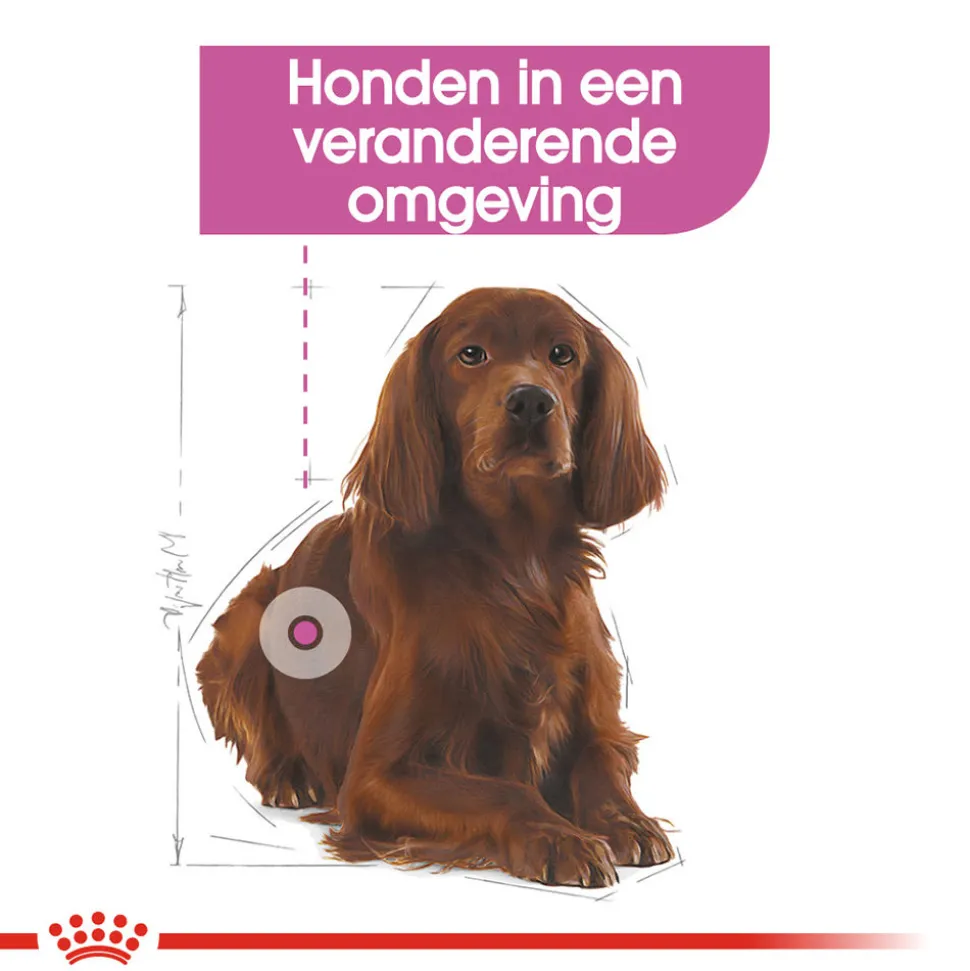 Royal Canin Medium Relax Care - Hondenvoer