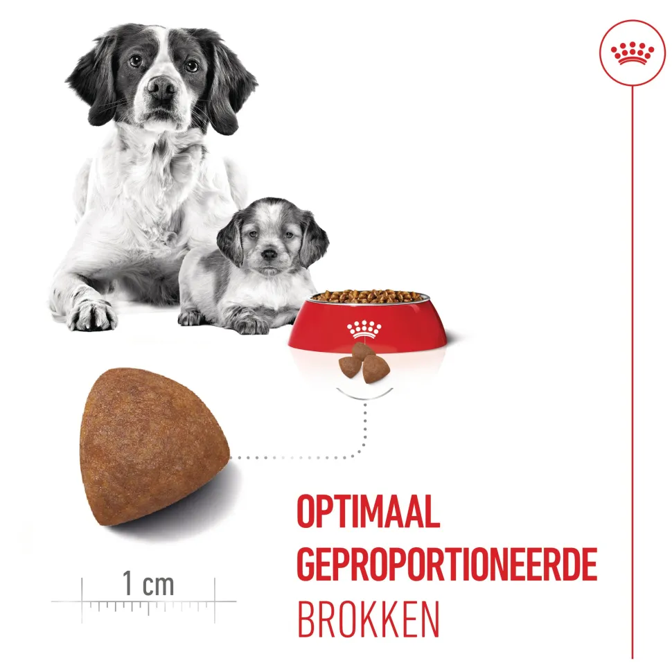 Royal Canin Medium Starter Mother & Babydog - Hondenvoer