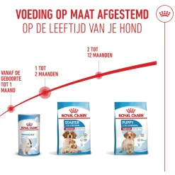 Royal Canin Medium Starter Mother & Babydog - Hondenvoer