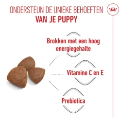 Royal Canin Medium Starter Mother & Babydog - Hondenvoer
