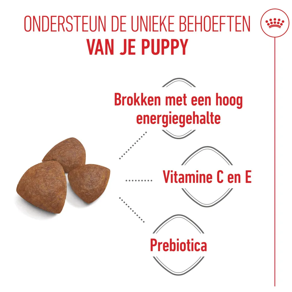 Royal Canin Medium Starter Mother & Babydog - Hondenvoer