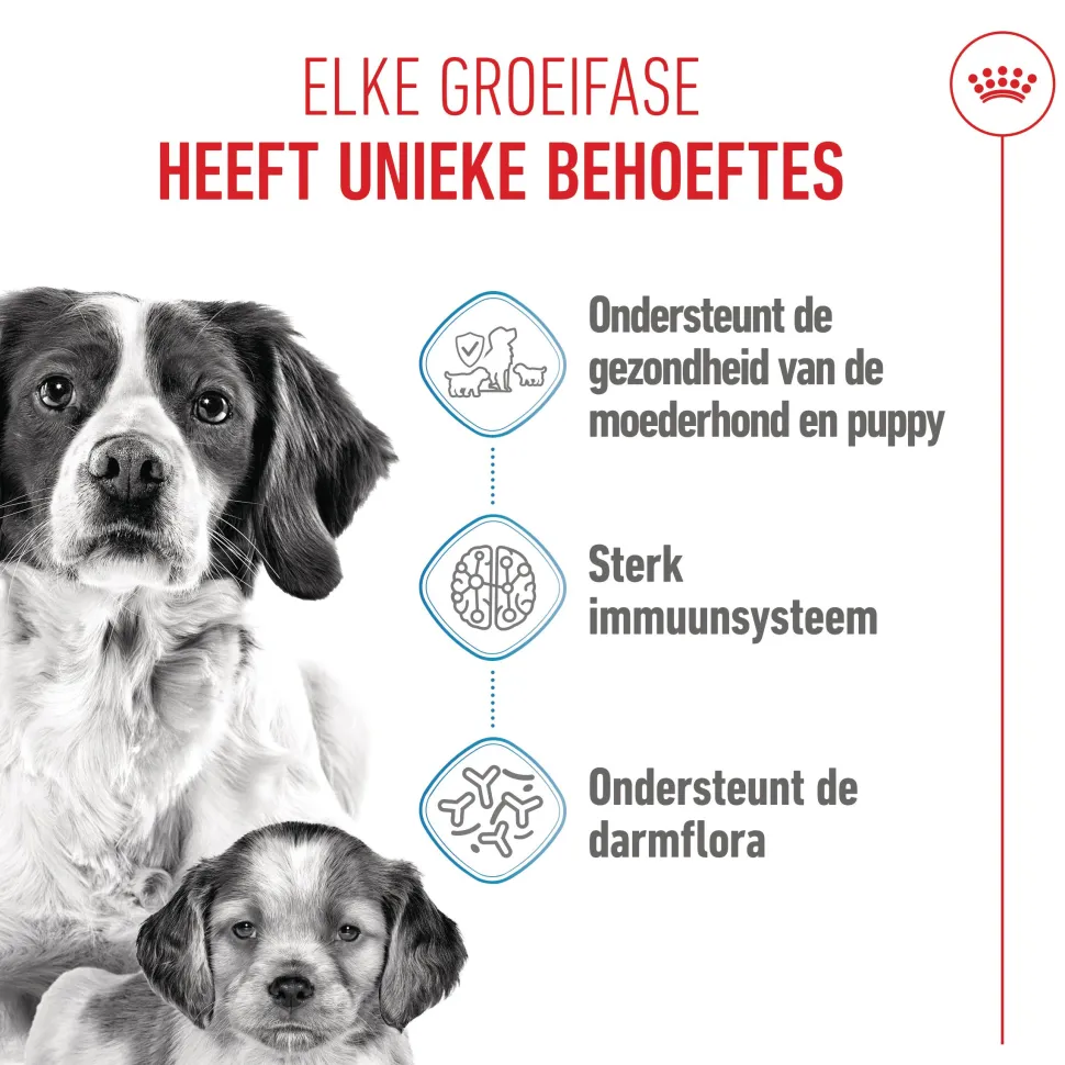 Royal Canin Medium Starter Mother & Babydog - Hondenvoer