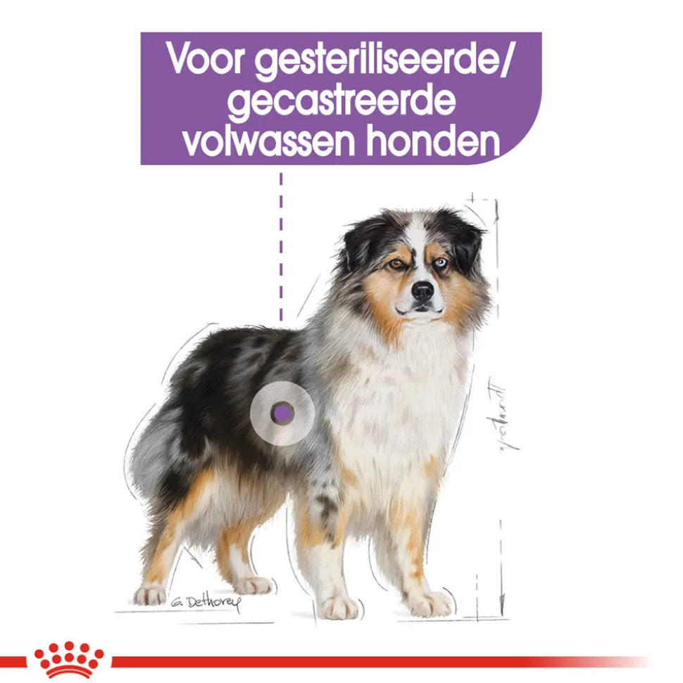 Royal Canin Medium Sterilised - Hondenvoer
